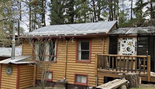 Evergreen Romantic Mountain Cabin near Evergreen Lake.