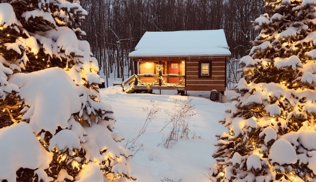 EverGreenGrove-Spruce 2BR/1BA Dog Friendly/Hot Tub