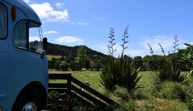 Evi the school bus at Oromahoe Downs Farm
