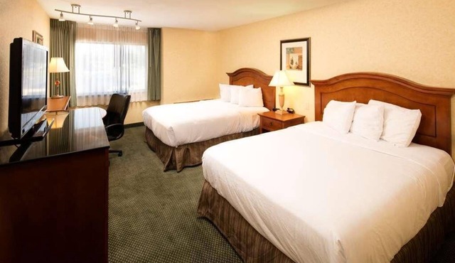 Excellent Choice! 4 Spacious Units for Groups, Outdoor Pool, Free Parking!