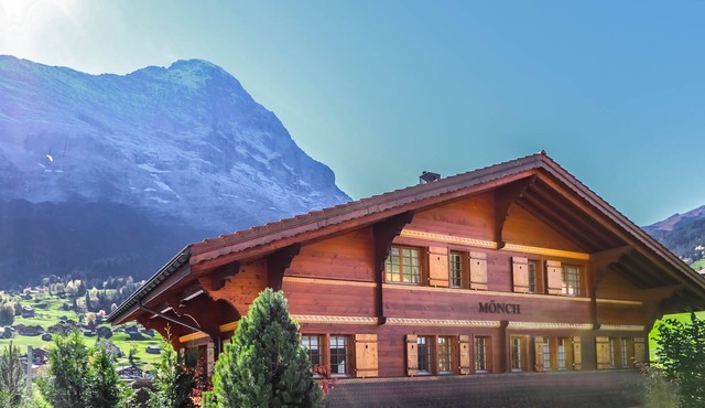 Excellent flat with a fantastic view of the Eiger!