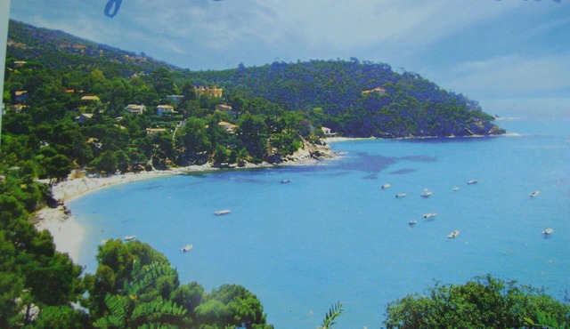 Exceptional sea view apartment in detached villa Côte d'Azur