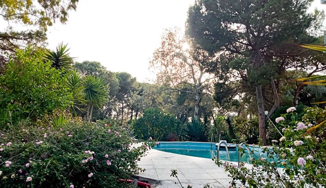 Exceptional apartment with pool surrounded by nature near the beach