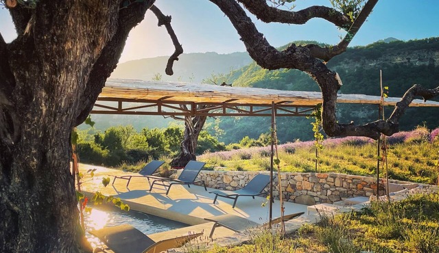 Exceptional farm in Drôme Provençale!