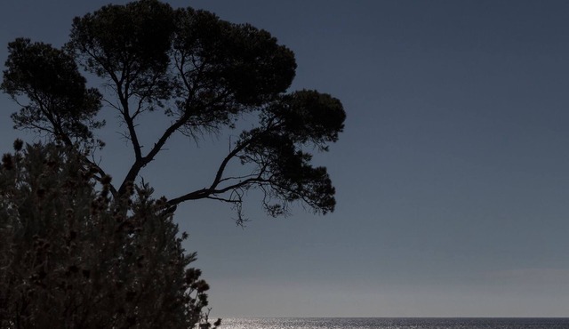 Exceptional villa for rent on the Mediterranean coast.