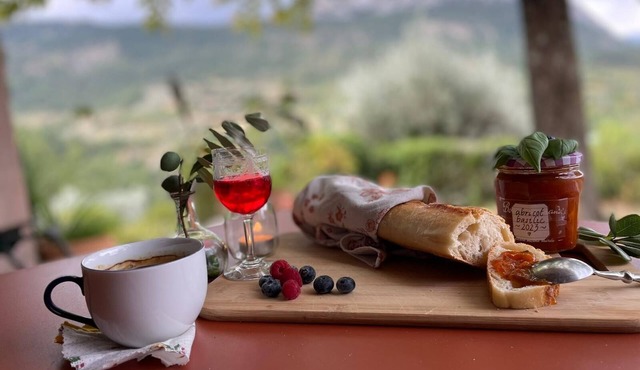 Exceptional panorama, swimming pool, pétanque court, 220 m2, 3 min from Buis!