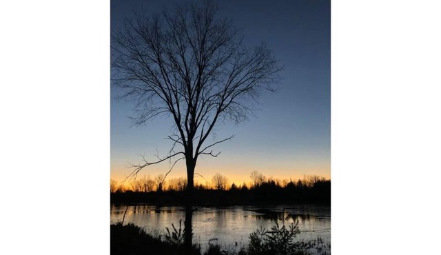 Exceptional Log Cabin - 3Bdrms + Full Kitchen