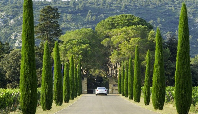 Exceptional private chateau in heart of Provence near St. Rémy