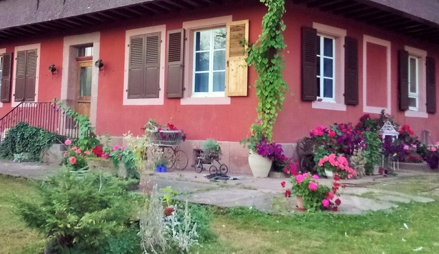 Exceptional site on the edge of the forest, between mountains and countryside