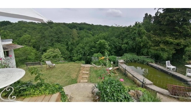 Exceptional view of the forest