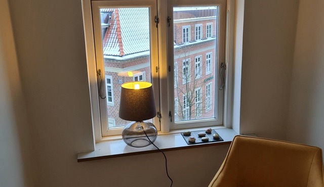 Exclusive Apartment in center