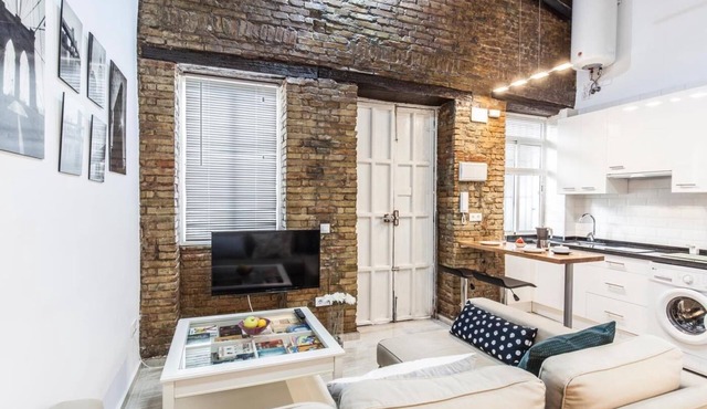 EXCLUSIVE APARTMENT IN THE HEART OF SEVILLA-2hab-Wifi