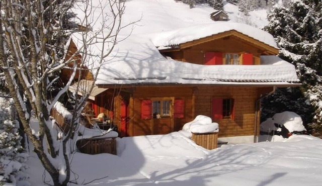 Exclusive, Charming 4 Bedroom Chalet near Gstaad