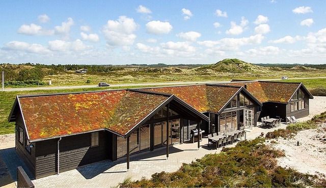 Exclusive pool holiday home with activity room on the beautiful North Sea