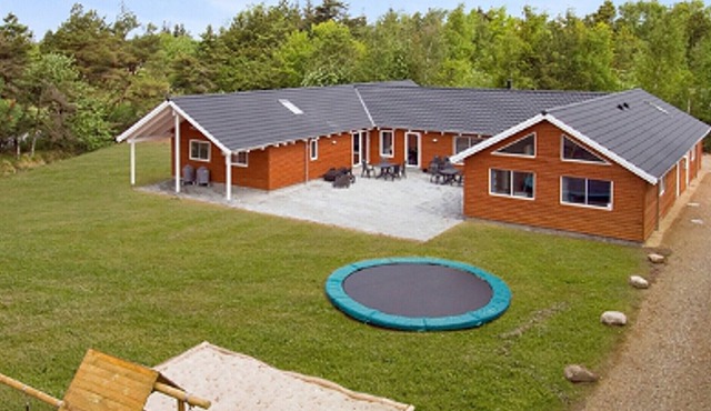 Exclusive pool house u. a. with activity room, oven and Wi-Fi in Blåvand