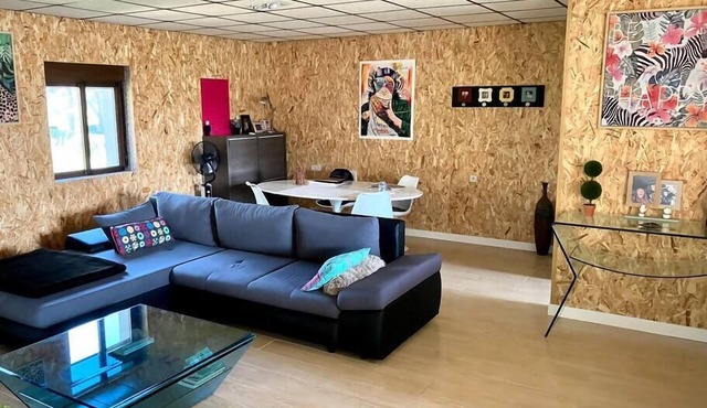 Exclusivo Loft en Zaragoza-4