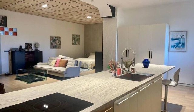 Exclusivo Loft en Zaragoza-5