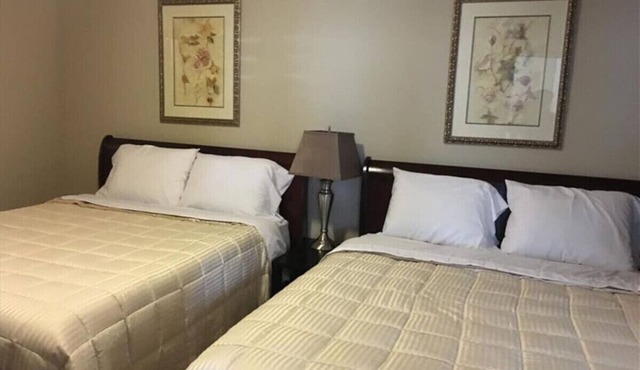 Executive 2 Bedroom/2 Bath Condo in The Woodland