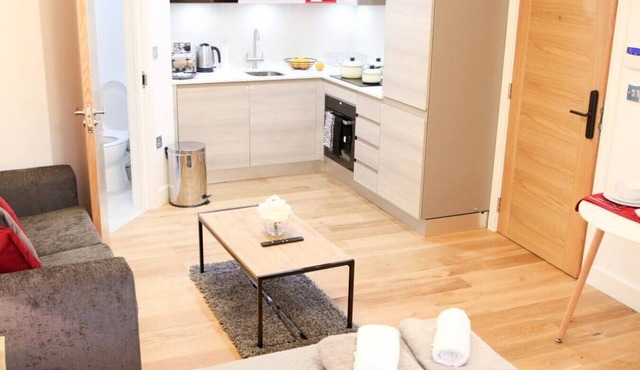 Executive Bright and Airy Studio in Sydenham