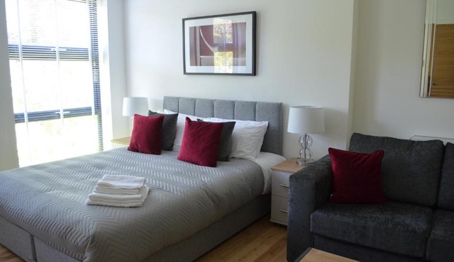 Executive Bright and Airy Studio Apartment in Sydenham