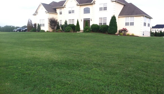 Executive Home 6,000 SQFT With Theatre Room And Large Yard