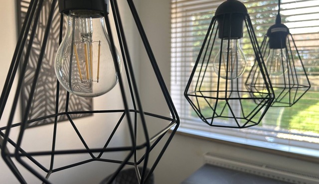 Executive House with Garden View