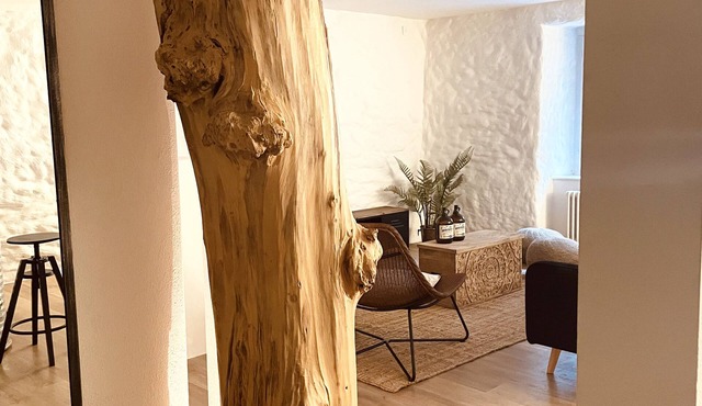 Exklusive Wohnung im Herzen der Schaffhauser Altstadt