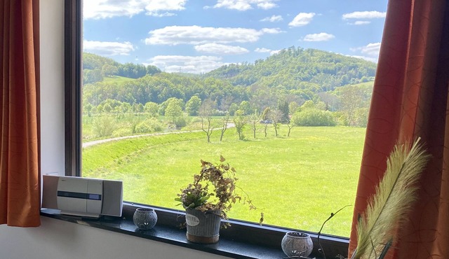 Exklusiver Blick ins Grüne in Eisenach