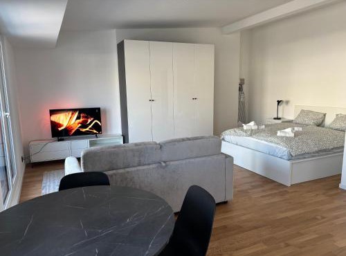 Expérience unique à Lausanne, Top floor Apartment on Lausanne Train Station