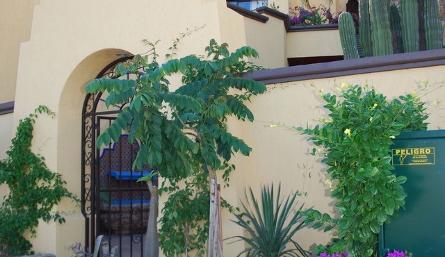 Expansive Four-Story Luxury Villa With Two Pools and Walking Distance to Town