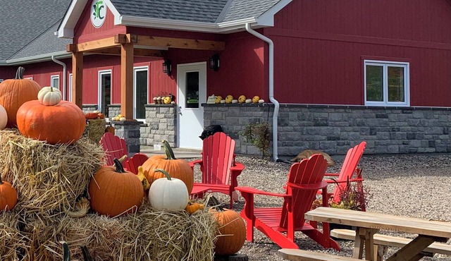 Experience an Alpaca Getaway, located minutes from the Ottawa River!