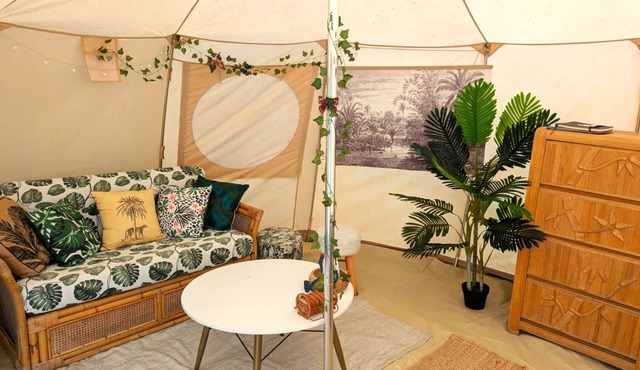 Experience an unusual adventure in our Jungle Tent with vintage military truck