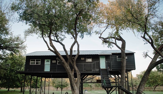 Experience Brazos River Treehouse