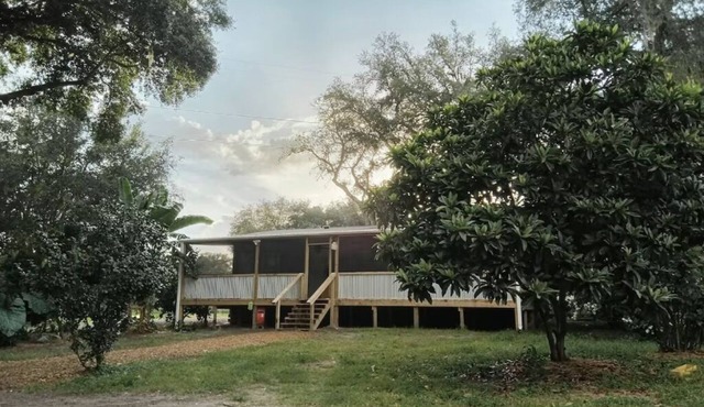 Experience country life at a farm animal sanctuary, perfect for animal lovers!