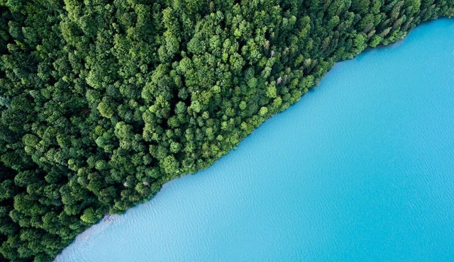 Experience dependable, friendly service for a great value