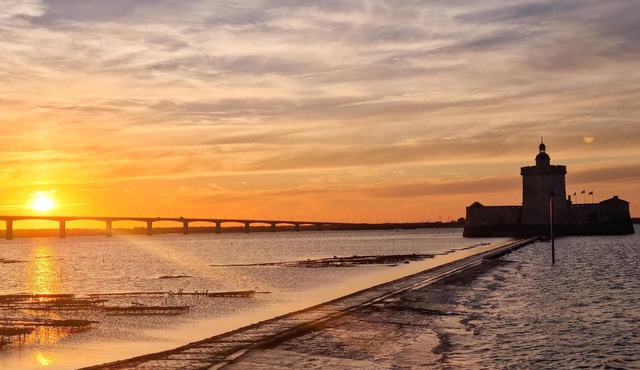 Experience exciting culture in Mortagne-sur-Gironde.