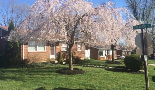 Experience Hollins charm near Hollins University