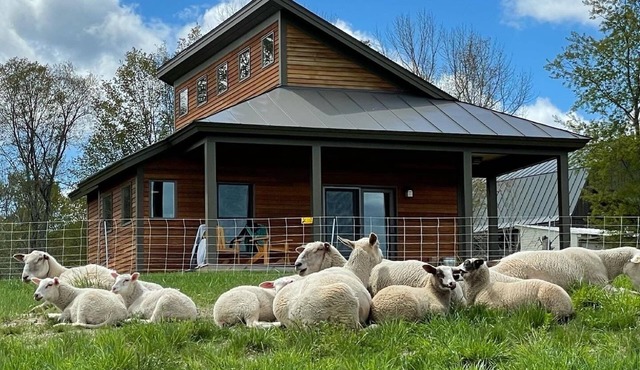 Experience life on a Vermont Farm in a Beautiful Modern Cabin - Stunning Views!