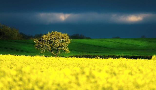 Experience luxurious accommodations and a plethora of amenities!