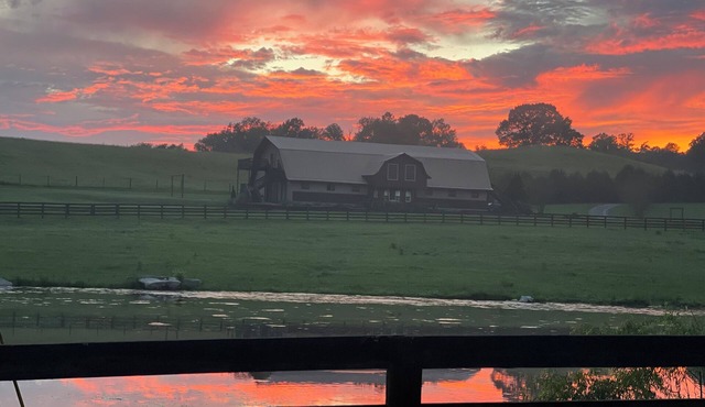 Experience rural charm in our Culleoka Farmstay