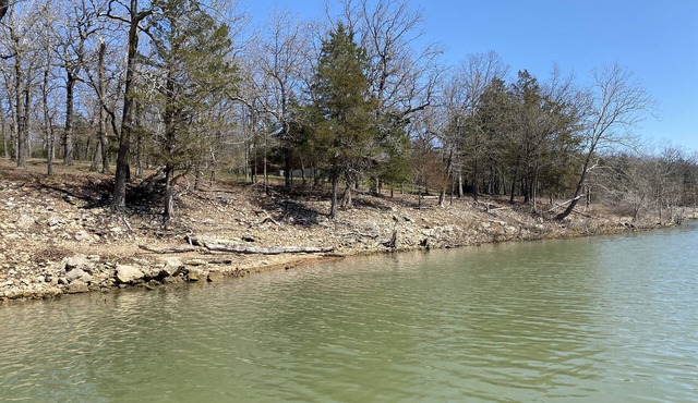 Experience serene Table Rock Lake & forest views from your 6-bedroom retreat