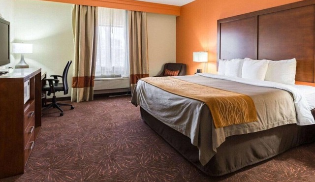 Experience the Best King Room for Your Getaway