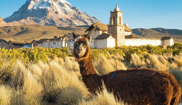 Experience the best of Hollister CA. Pool, WiFi & Gym