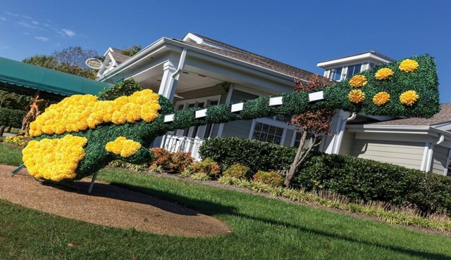 Experience the Best of Music City at Wyndham Nashville- 2 Bd. Lockoff