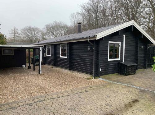 Experience The Forest And Sea