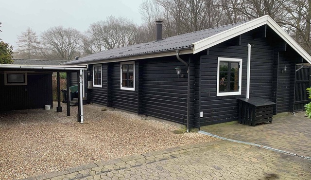 Experience the forest and sea