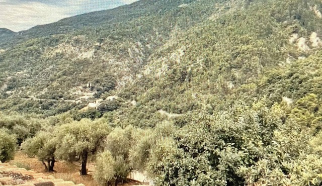 Experience the sweetness of Provence in this cocoon in Coaraze