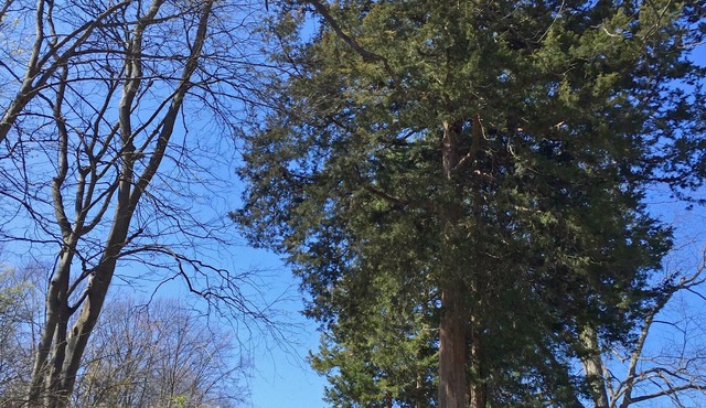 Experience this cozy & quiet bungalow w/antique typewriters & local made quilts