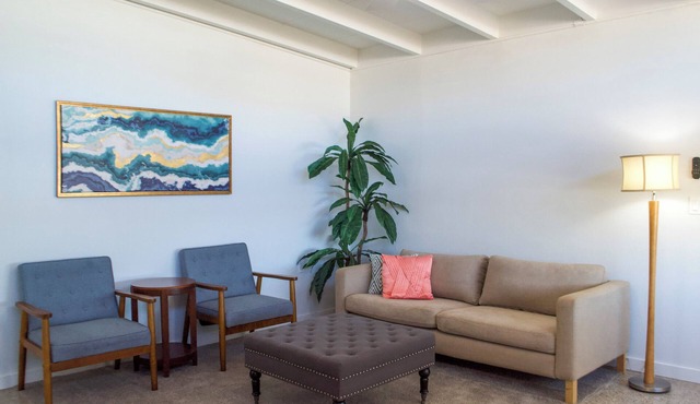 Experience Timeless Mid-Century Comfort Near Oldsmar’s Best Attractions