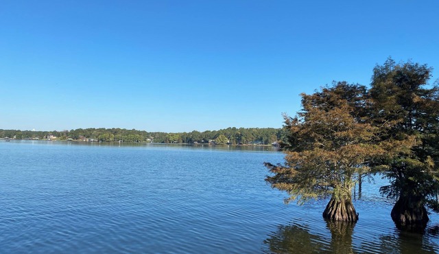 Experience Tranquility in Mercy Me Lake House on Lake D'Arbonne